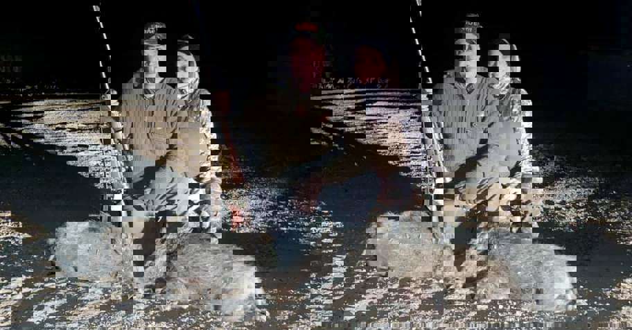 Boar hunting in Bulgaria-fixed price .