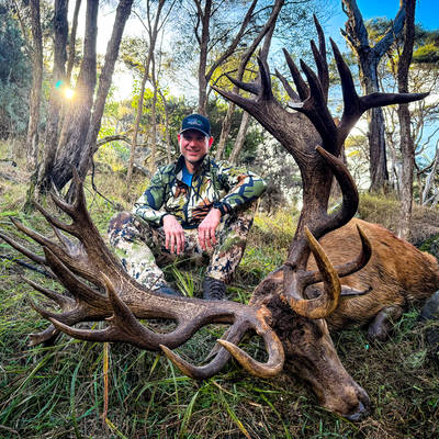 Multi Day, 500-549" SCI Red Stag Hunt