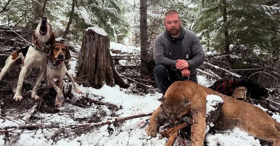 5 Day Mountain Lion Hunt