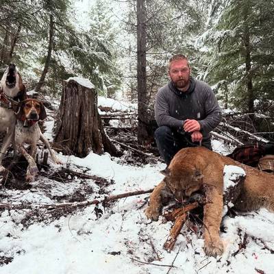 5 Day Mountain Lion Hunt