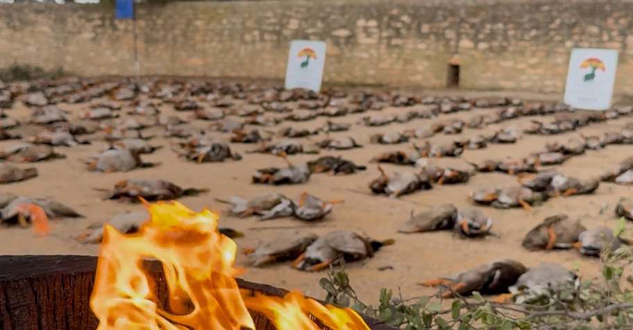 26 Sept. Duck Shooting in Spain