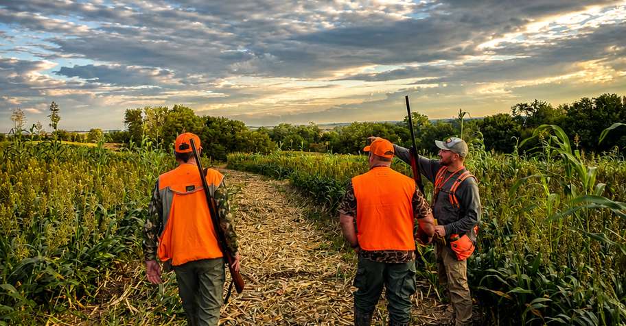Unguided 20 Bird Field Hunt