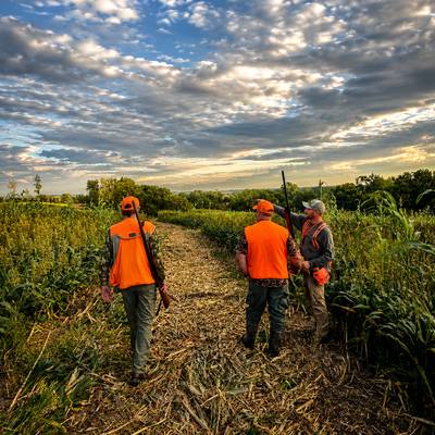 Unguided 20 Bird Field Hunt