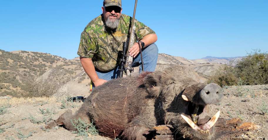 Guided Wild Hog Hunt - Multiple Hunters