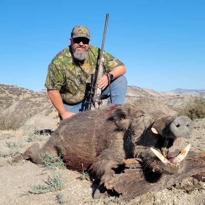 Guided Wild Hog Hunt - Multiple Hunters