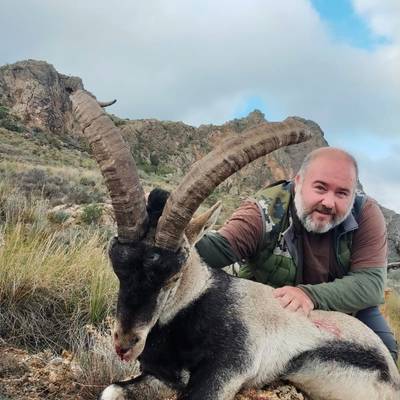 Sierra Nevada Trophy Ibex