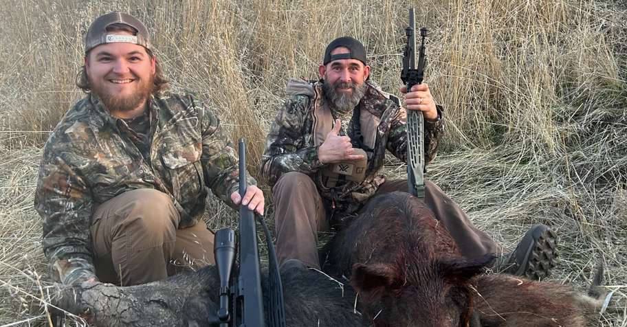 Hog Hunt