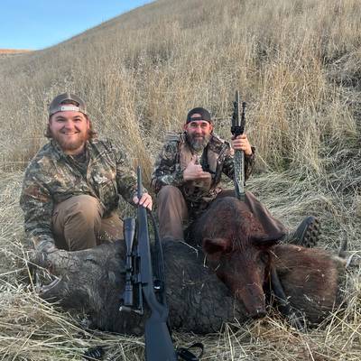 Hog Hunt