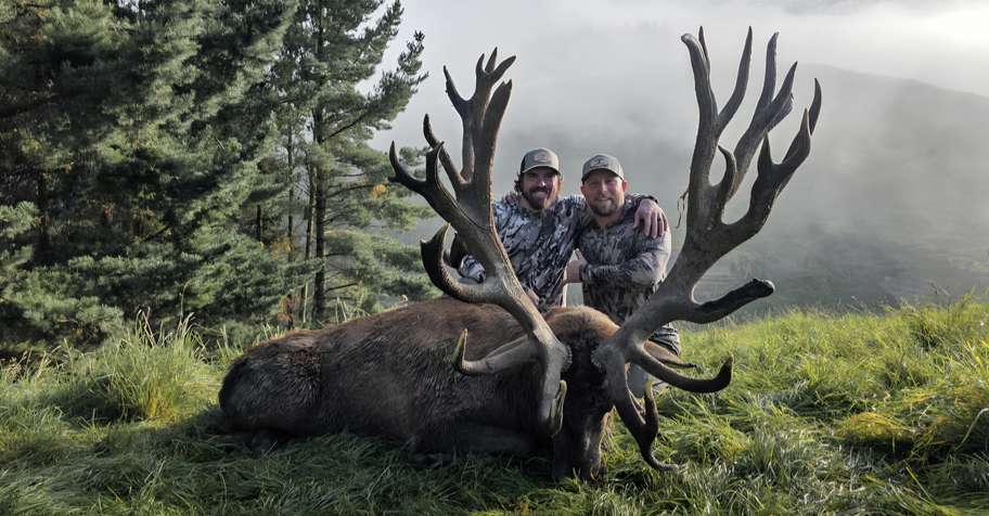 New Zealand Red Stag 431-460 SCI