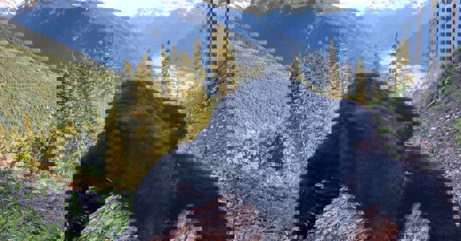 1 on 1 Fall Black Bear/Blacktail 2026