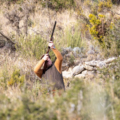Red-Legged Partridge Hunt Spain