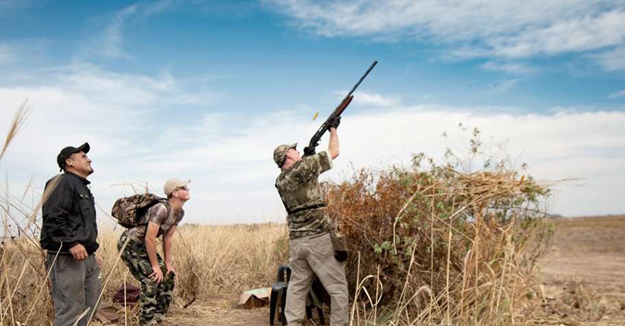 Dove Shooting