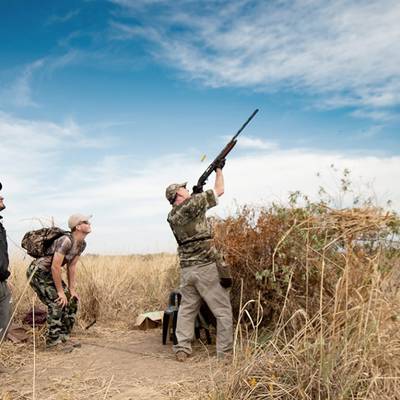 Dove Shooting
