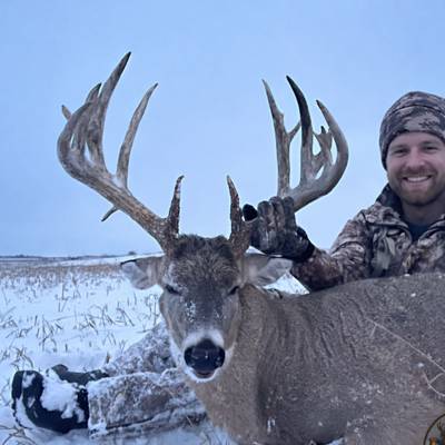 White-Tailed Deer 1:1 2026