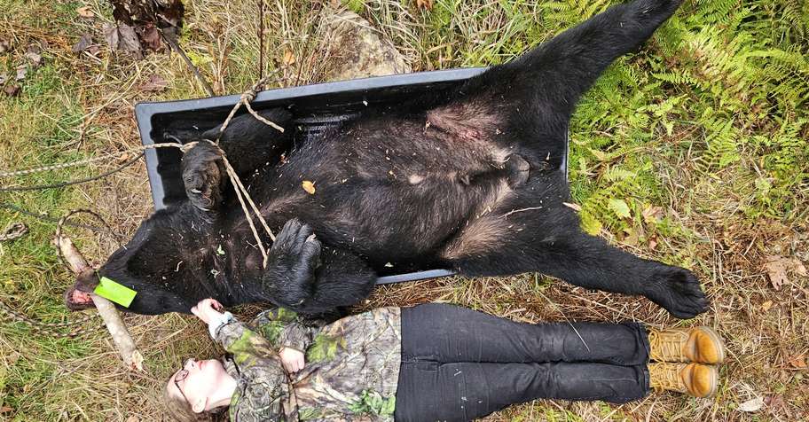 BLACK BEAR BAIT + TRAP 2026 WEEK 4