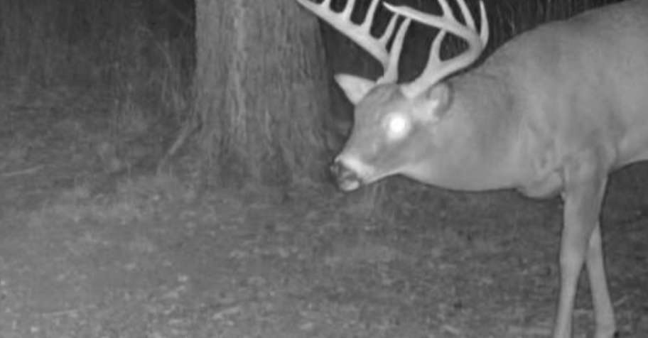 2027 Kansas muzzle loader
