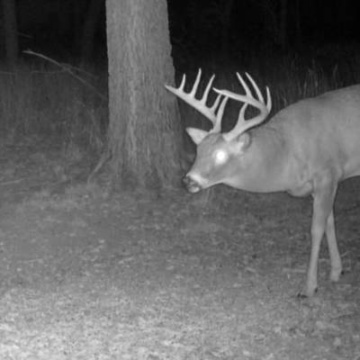 2027 Kansas muzzle loader