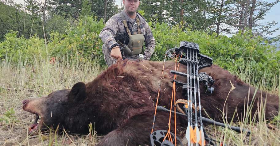 Colorado Black Bear 2 x hunters