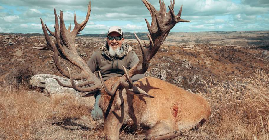 Red stag 500 inches +