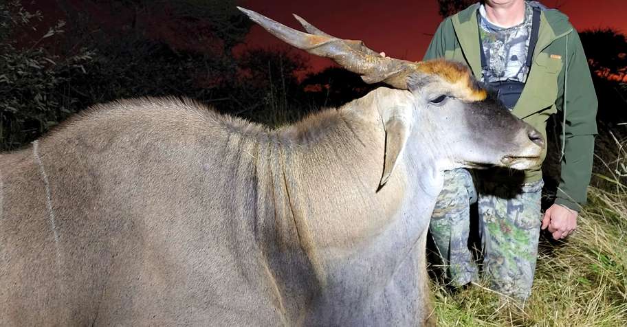 Spiral Horn Slam Package