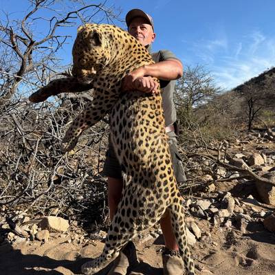 Desert Leopard Hunt