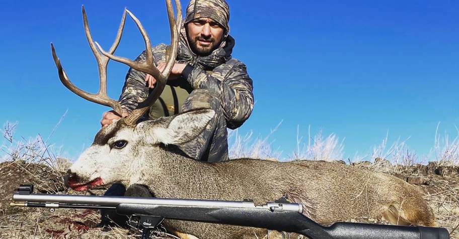 3 PPL Bull Elk and/or Mule Deer