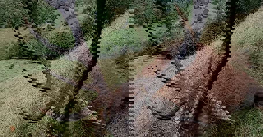 3 Day Red Stag Hunt (10+ points)