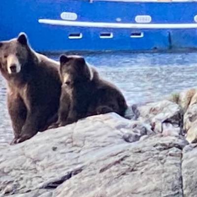 Coastal Self Guided- 4 Nights/6 Guests