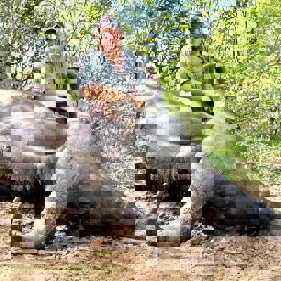 Buffalo Cow Special 2026