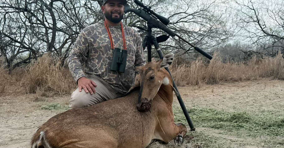 Texas Nilgai Cow Hunt