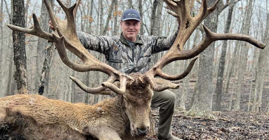 Trophy Red Stag Hunt