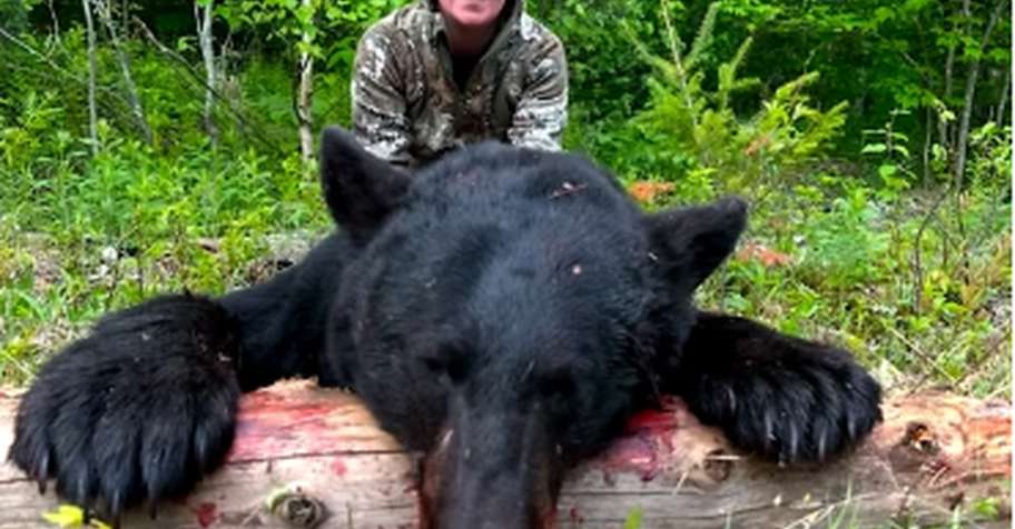 High-Success Black Bear Hunt '27