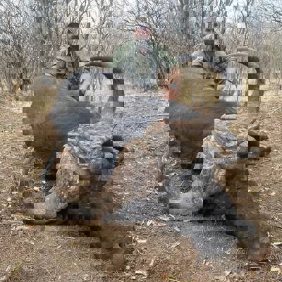 1 - Buffalo, Sable & Crocodile Package