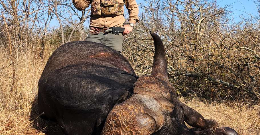 Lowveld Buffalo Safari