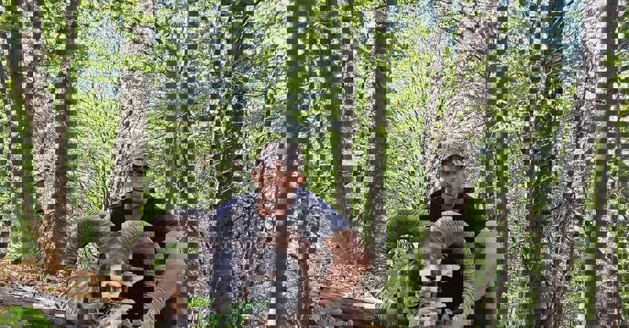 Free range mouflon hunt Bulgaria