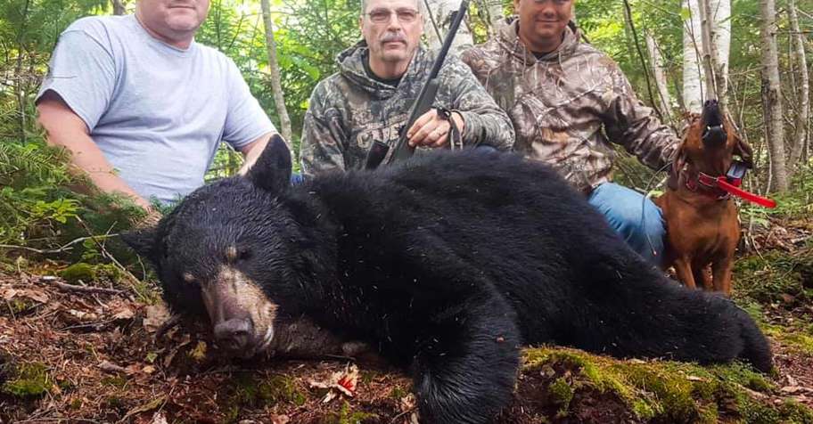 Black Bear Hunt Over Bait '26