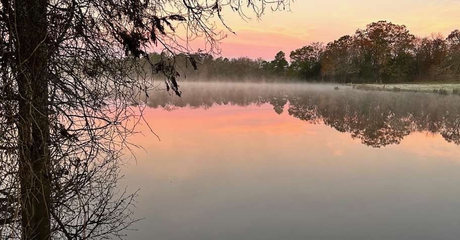 Late Season Morning Waterfowl Hunt