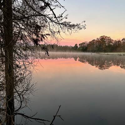 Late Season Morning Waterfowl Hunt