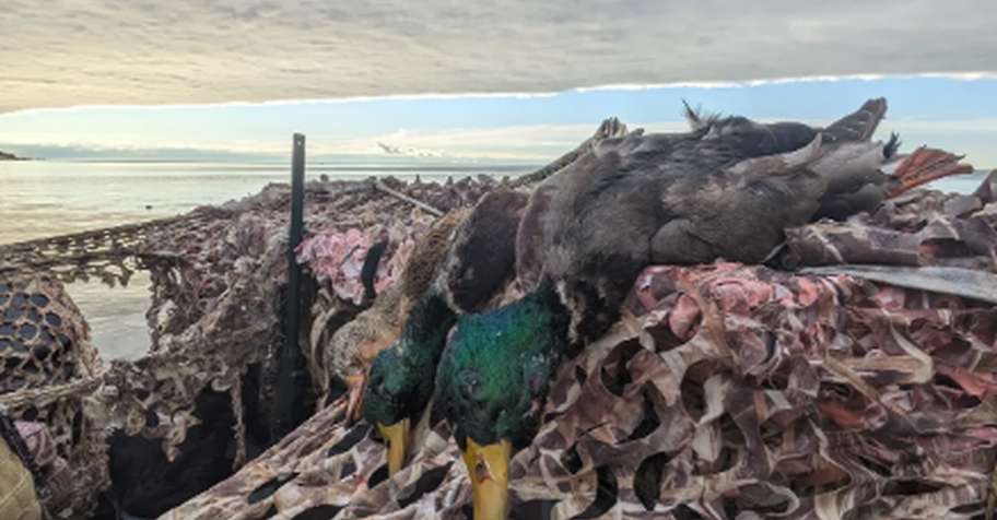 Guided Duck and Goose Hunting