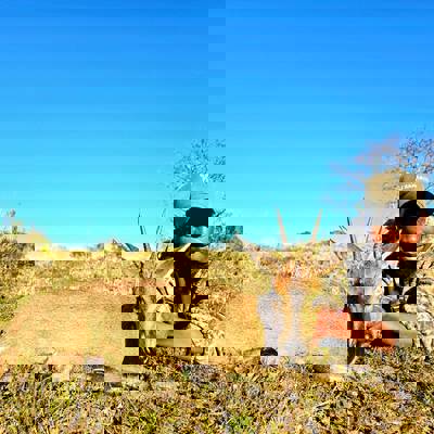 Eastern Cape Classic Plains Game Package