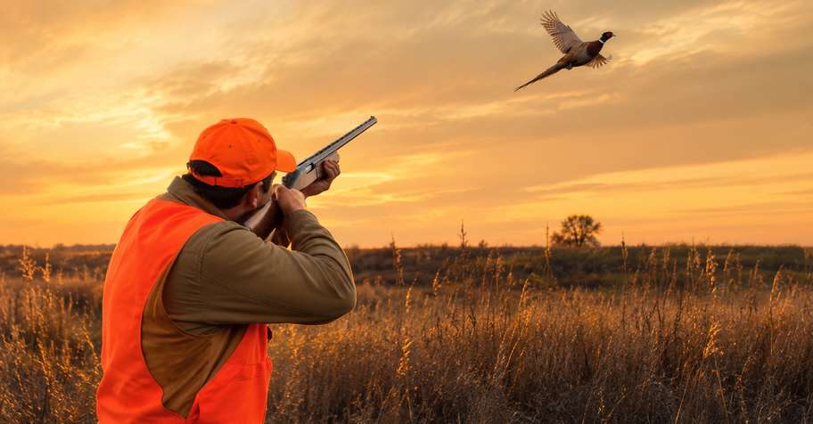 80 BIRD PACKAGE HUNTING & LODGING