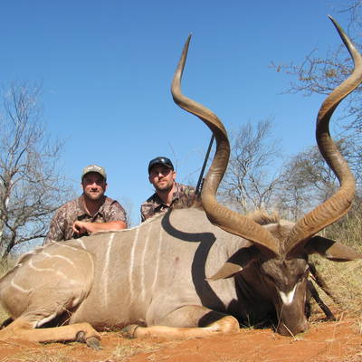Limpopo Free Range Plains Game Hunt