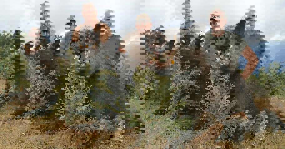 Wild Boar Stalking (Black Sea)