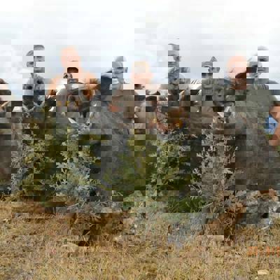 Wild Boar Stalking (Black Sea)