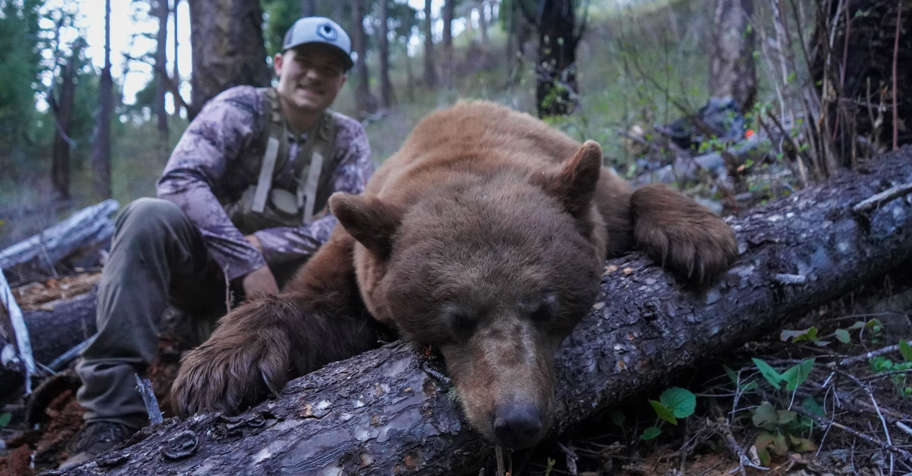 Backcountry Baited Black Bear Hunt 2025