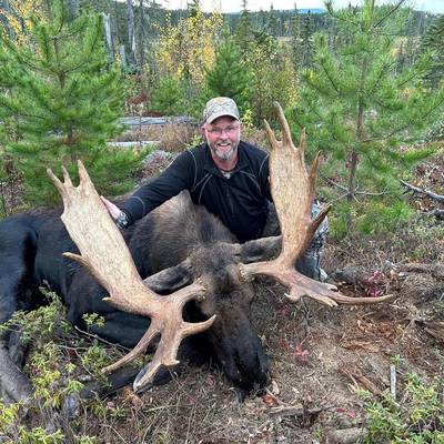 Bow Moose Hunt 1x1 2026