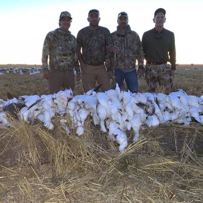 Spring Snow Goose Hunt