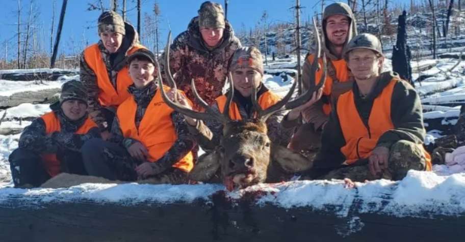 Fully Guided 6 Day Bull Elk Hunt x4