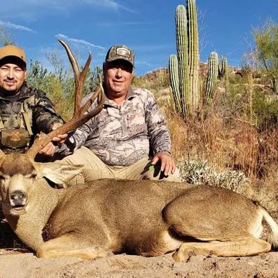 Sonora Desert Mule Deer Hunt