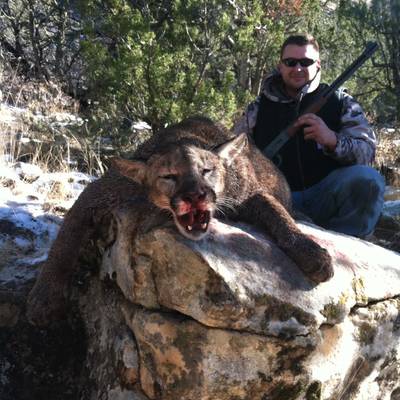 Mountain Lion Hunt New Mexico